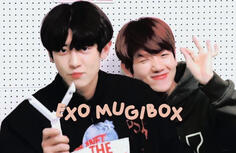mugibox